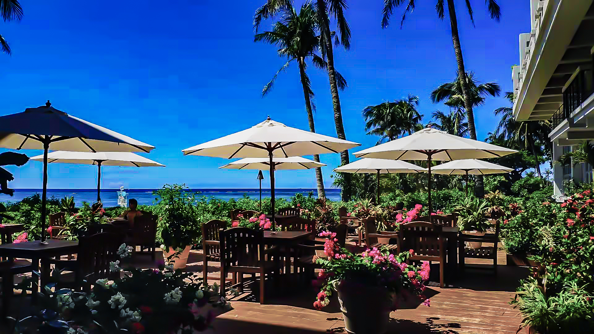 户外人像摄影,年轻情侣在樱花树下拥抱,春日阳光透过花瓣洒落